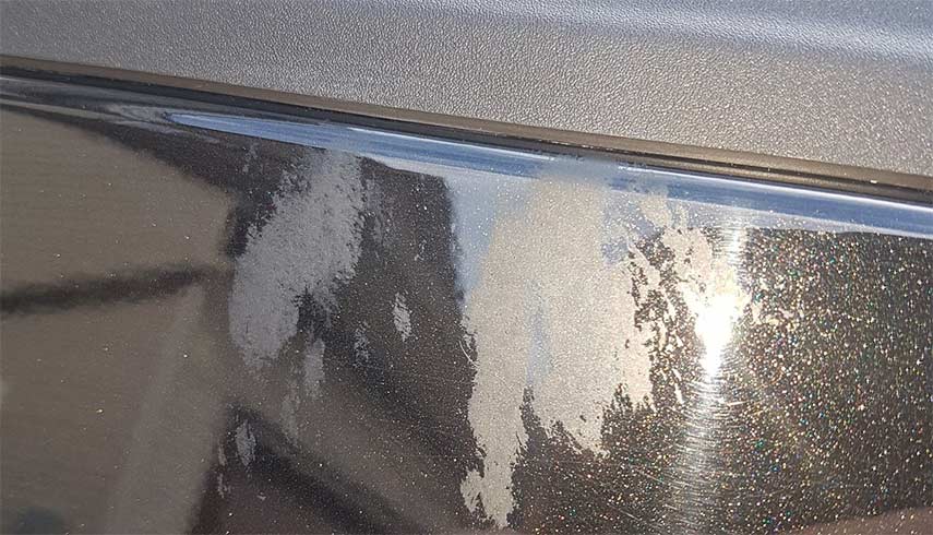 Is it possible to remove spilled paint from rhino lining? : r/Detailing